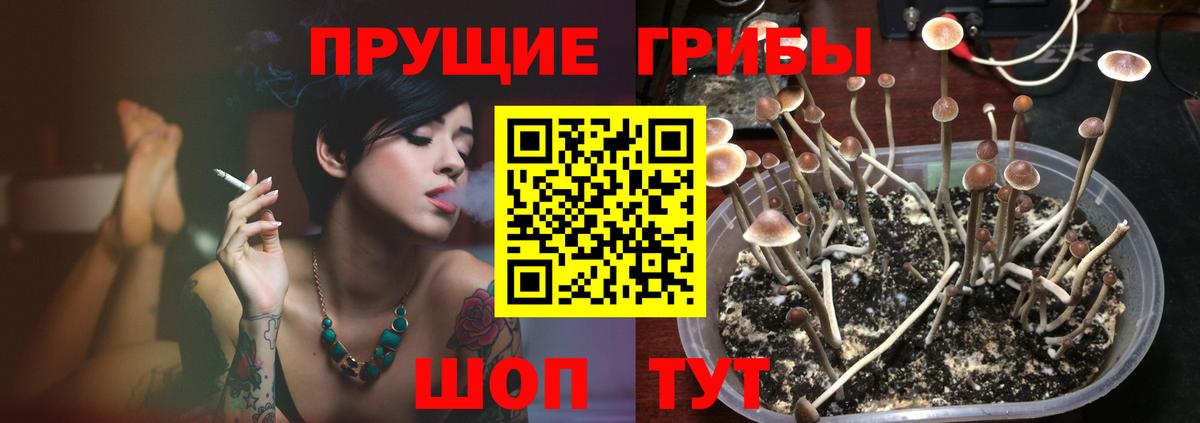 Галлюциногенные грибы Psilocybine cubensis Радужный